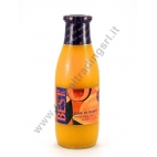 BEST MANGO VETRO - SUCCO DI FRUTTA 6x1L