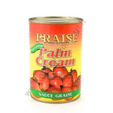 PRAISE PALM CREAM - CREMA DI FRUTTI DI PALMA 12x400g