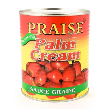 PRAISE PALM CREAM - CREMA DI FRUTTI DI PALMA 12x800g