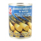 COCK GERMOGLI DI BAMBU PUNTE (TIPS) 24x540g