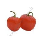 PEPERONCINO ROCOTO