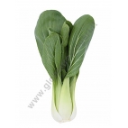 PAK CHOI - PO CHOI