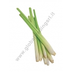 XA - LEMONGRASS - CITRONELLA