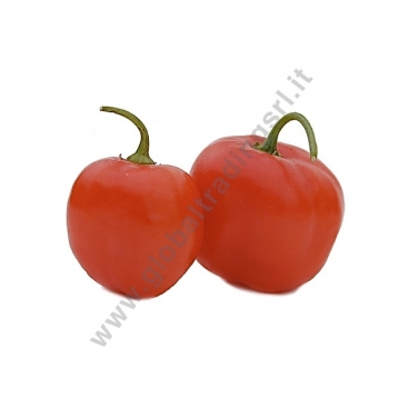 PEPERONCINO ROCOTO