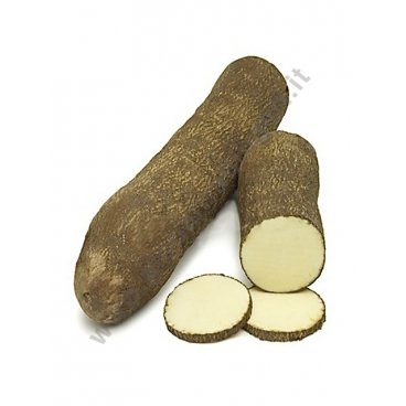 YAM - IGNAME