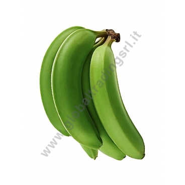 BANANA VERDE CT- BDNOO 0072853