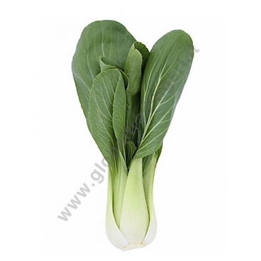 PAK CHOI - PO CHOI