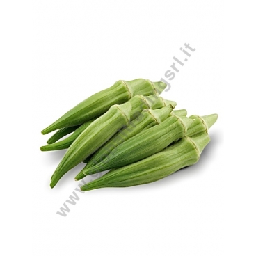 OKRA CLEMSON