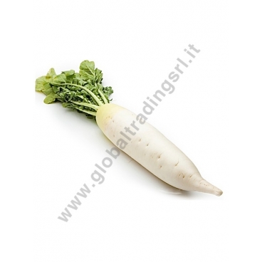 DAIKON