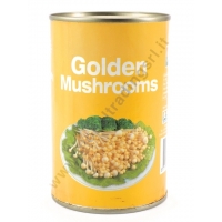 AEF GOLDEN MUSHROOMS - FUNGHI AL NATURALE 24x425g