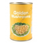 AEF GOLDEN MUSHROOMS - FUNGHI AL NATURALE 24x425g
