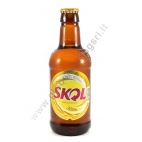 SKOL BIRRA 24x355ml