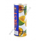 BEST MANGO LATTINA - SUCCO DI FRUTTA 30x250ml