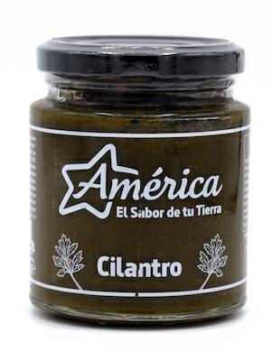 AMERICA PASTA DE CILANTRO - SALSA ALCORIANDOLO 12x212g*