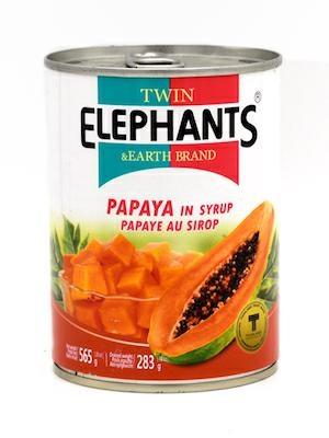 TWIN ELEPHANTS PAPAYA IN SCIROPPO 24x565g