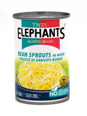 TWIN ELEPHANTS BEAN SPROUT - GERMOGLI AL NATURALE 24x420g