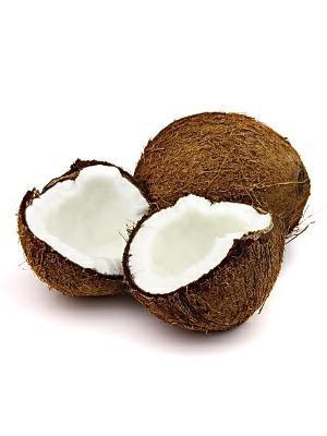NOCE DI COCCO 40/50 PZ - BDNOO 0072853 *