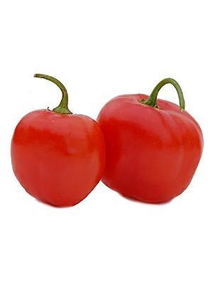 PIMENTO ROCOTO KG - BDNOO 0072853 *