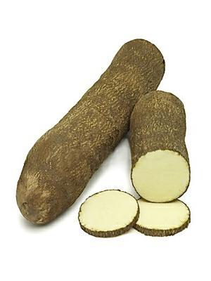 YAM NEW CT 18KG - BDNOO 0072853 *