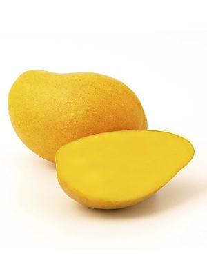 MANGO GIALLO EGITTO