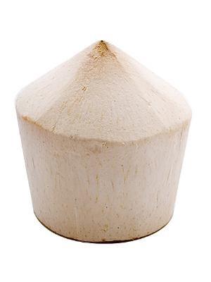 COCCO GIOVANE FRESCO CANNUCCIA - BDNOO 0072853*