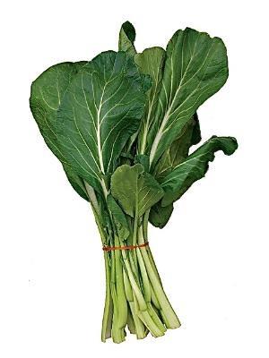 CHOI SUM 7KG CT - BDNOO 0072853