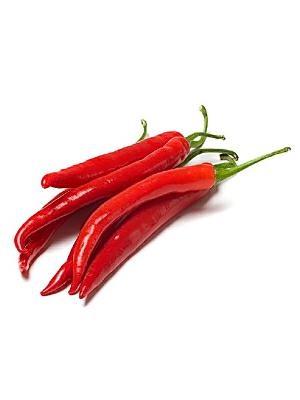 RED CHILLI (PIMENT ROUGE) ( 100g )LN-PZ BDNOO 0072853 M+F ND