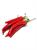 RED CHILLI (PIMENT ROUGE) ( 100g )LN-PZ BDNOO 0072853 M+F ND