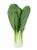 PAK CHOI/ PO CHOI 8KG CTN- BDNOO 0072853 * ( PESARE )