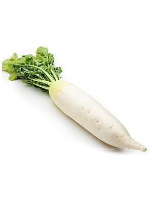 DAIKON CT-BDNOO 0072853