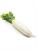 DAIKON CT-BDNOO 0072853