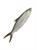 SARANGANI BAY MILKFISH BABY MARINATO SPLIT 17x400g*