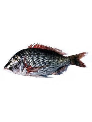 PESCE IMPERATORE CONGELATO kg