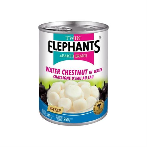 ROYALORIENT WATER CHESTNUTS WHOLE - CASTAGNE D' ACQUA 24x567g