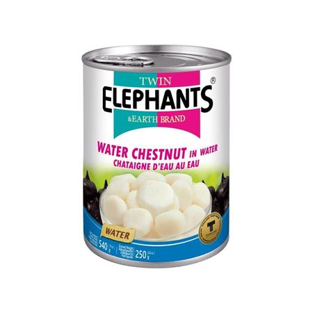 TWIN ELEPHANTS WATER CHESTNUTS WHOLE - CASTAGNE D'ACQUA 24x540g