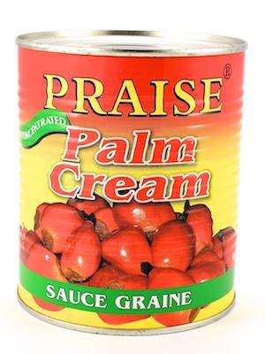PRAISE PALM CREAM - CREMA DI FRUTTI DI PALMA 12x800g