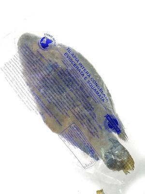 TILAPIA CONGELATA 500/800 4kg/5kg/8kg/10kg