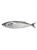 CKF TILAPIA CONGELATA 1UP 5KG/10KG * (N)